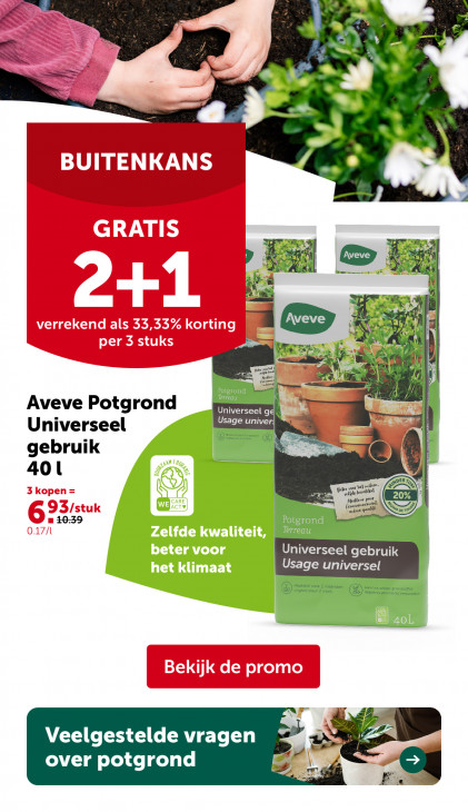 AVEVE Folder 11.02.2026