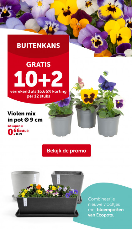 AVEVE Folder 11.02.2026