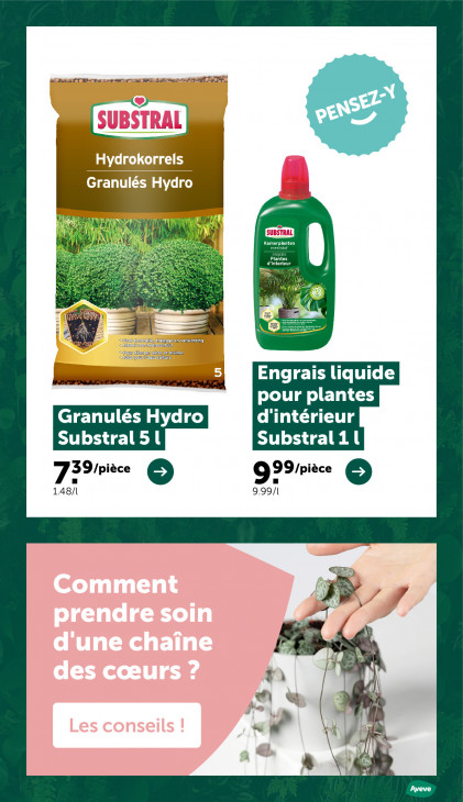 AVEVE Dépliant 11.02.2026