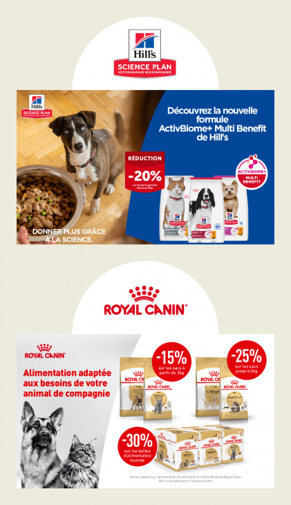 AVEVE Dépliant 11.02.2026