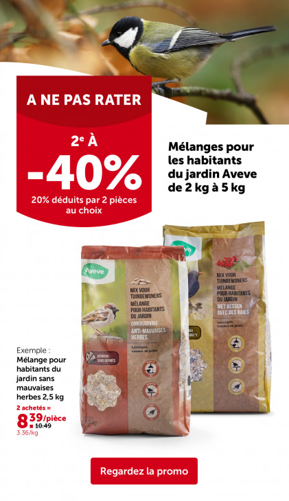 AVEVE Dépliant 11.02.2026