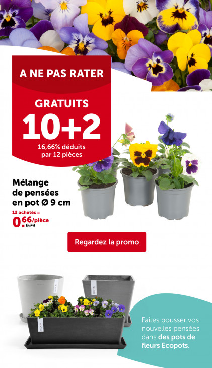 AVEVE Dépliant 11.02.2026