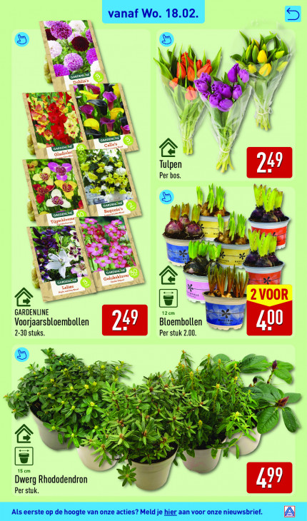 Aldi Folder 16.02.2026