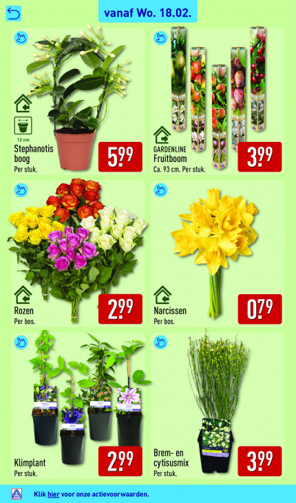 Aldi Folder 16.02.2026