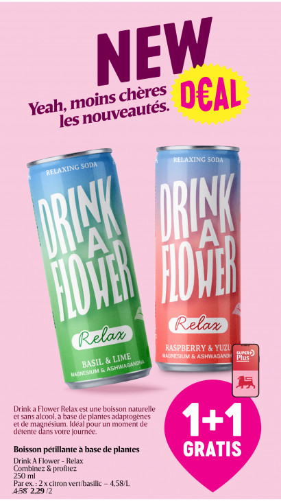 Delhaize Dépliant 12.02.2026