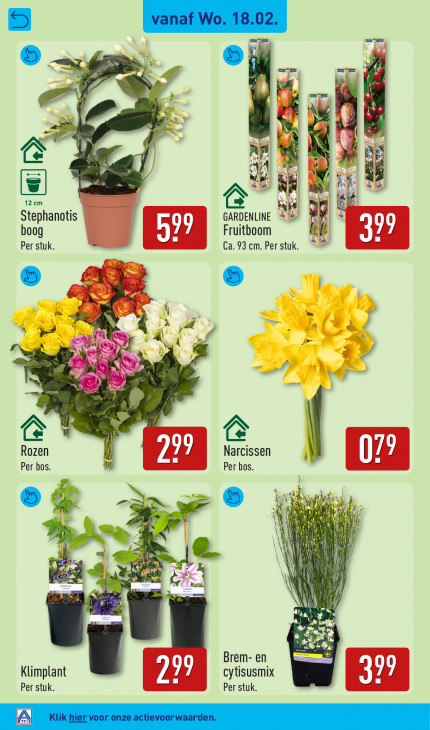 Aldi Folder 18.02.2026