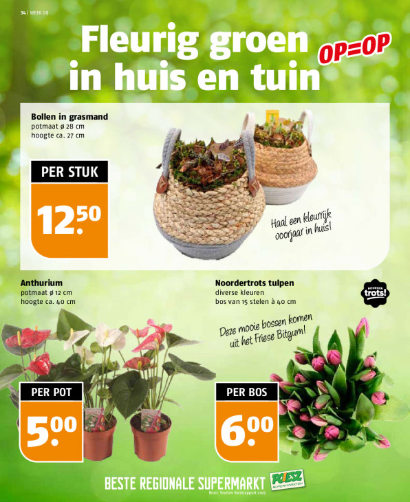 Poiesz Folder 15.02.2026