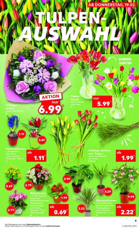 Kaufland Angebote ab 19.02.26 bis 25.02.26