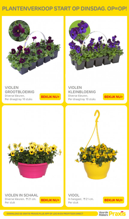 Praxis Folder 16.02.2026