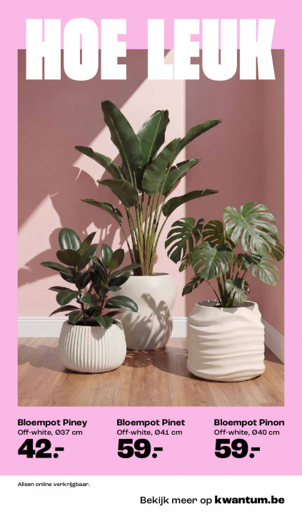 Kwantum Folder 16.02.2026