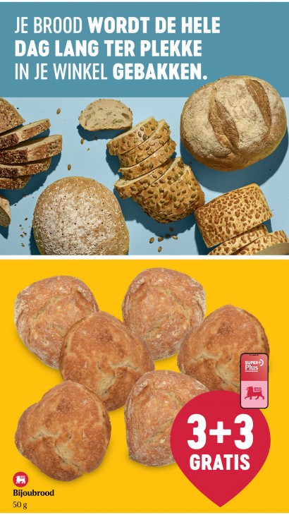 Delhaize Folder 19.02.2026