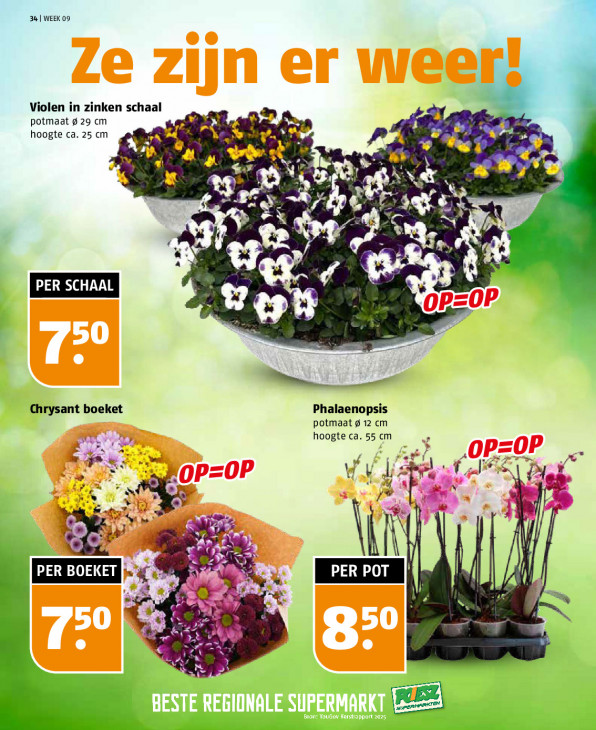 Poiesz Folder 22.02.2026