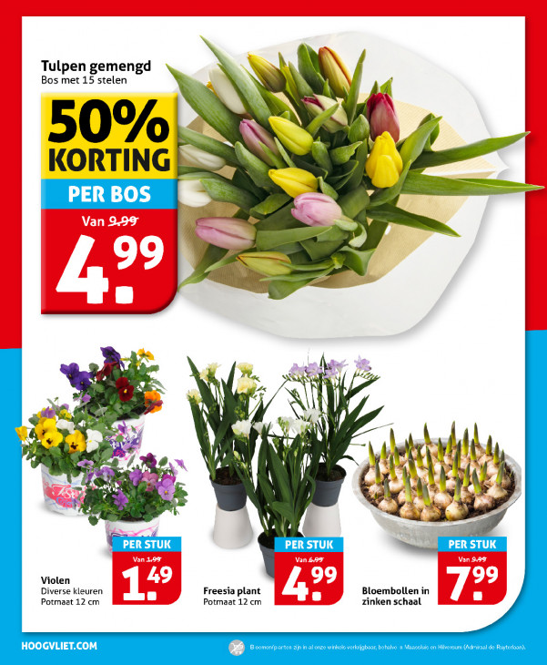 Hoogvliet Folder 25.02.2026