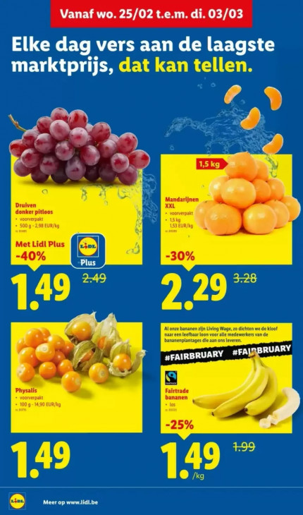 Lidl Folder 25.02.2026
