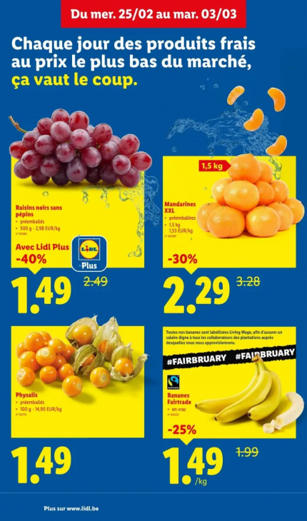 Lidl Dépliant 25.02.2026