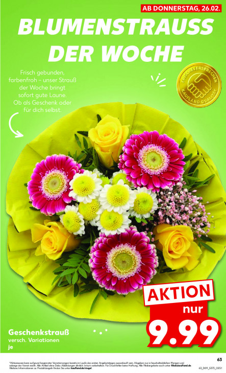 Kaufland - woche-9-ab-26-02-2026-bis-04-03-2026-seite-63-wegyl