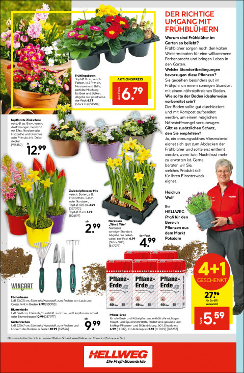 Hellweg Baumarkt - woche-9-ab-23-02-2026-bis-28-02-2026-seite-16-aonzk