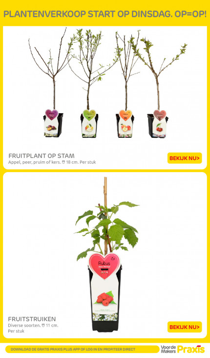 Praxis Folder 23.02.2026