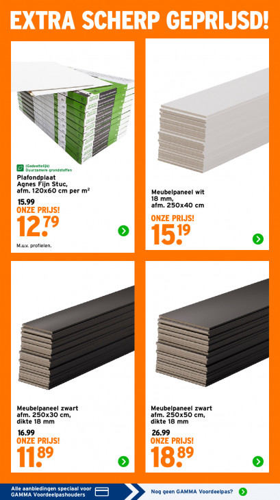 Gamma Folder 23.02.2026