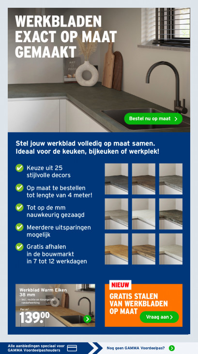 Gamma Folder 23.02.2026