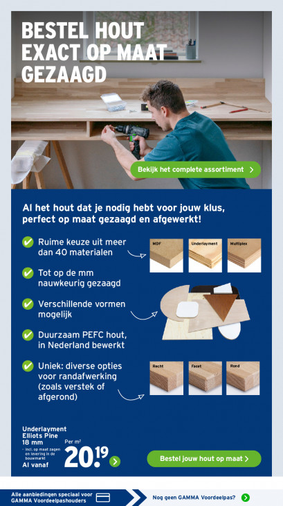 Gamma Folder 23.02.2026