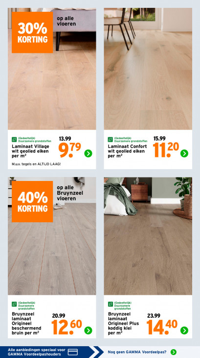 Gamma Folder 23.02.2026