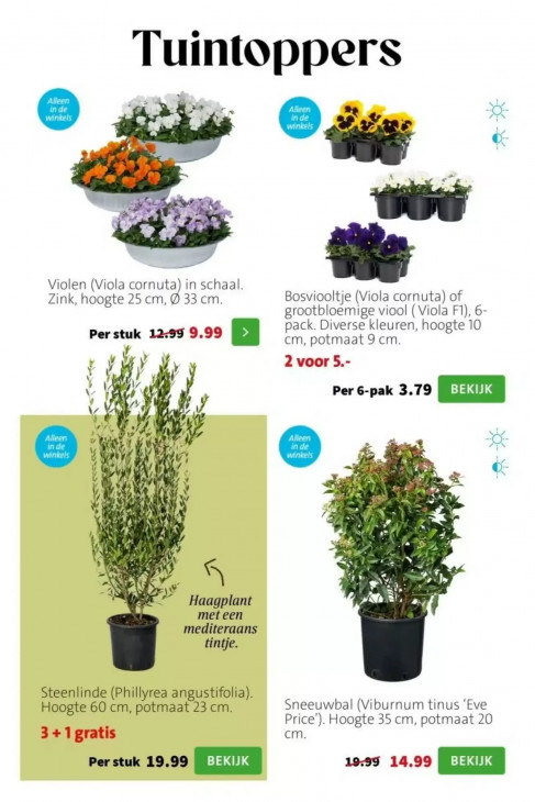 Intratuin Folder 23.02.2026