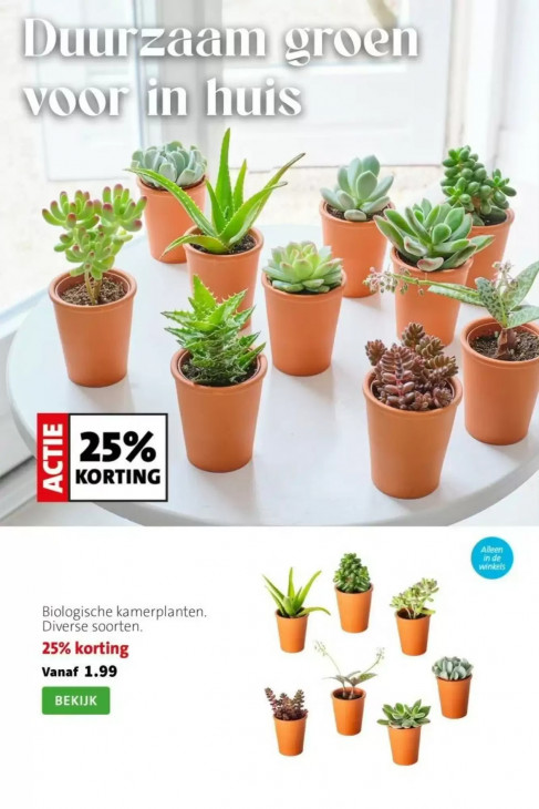 Intratuin Folder 23.02.2026