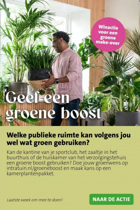 Intratuin Folder 23.02.2026