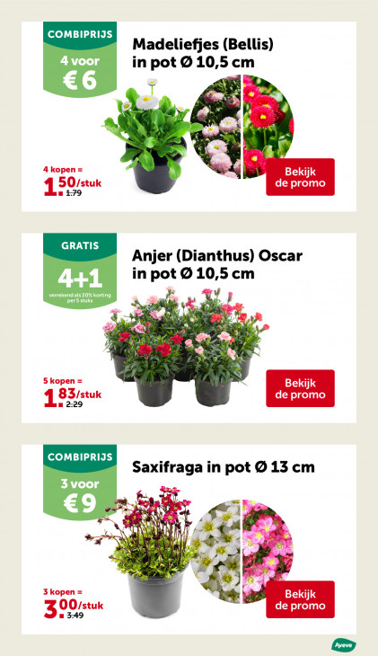 AVEVE Folder 25.02.2026