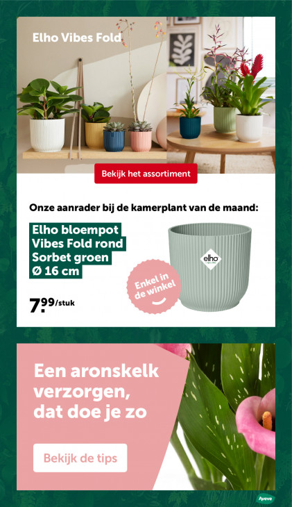 AVEVE Folder 25.02.2026