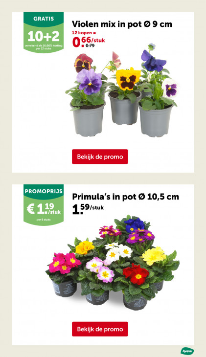 AVEVE Folder 25.02.2026