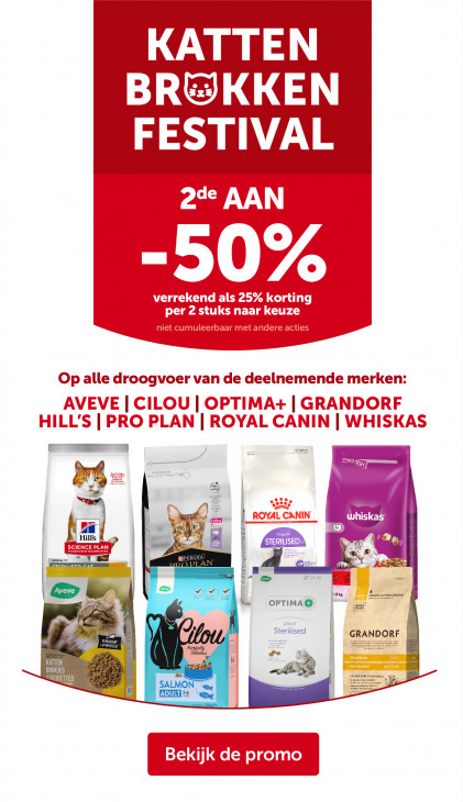 AVEVE Folder 25.02.2026