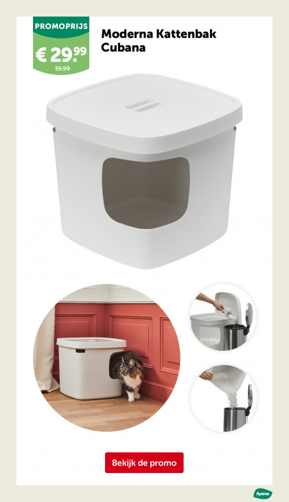 AVEVE Folder 25.02.2026