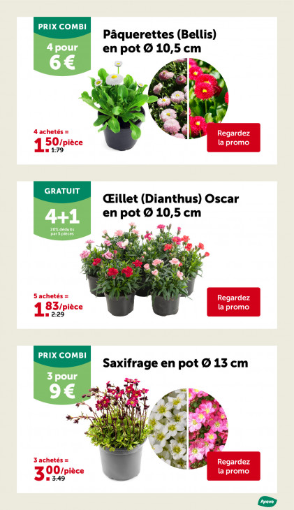 AVEVE Dépliant 25.02.2026