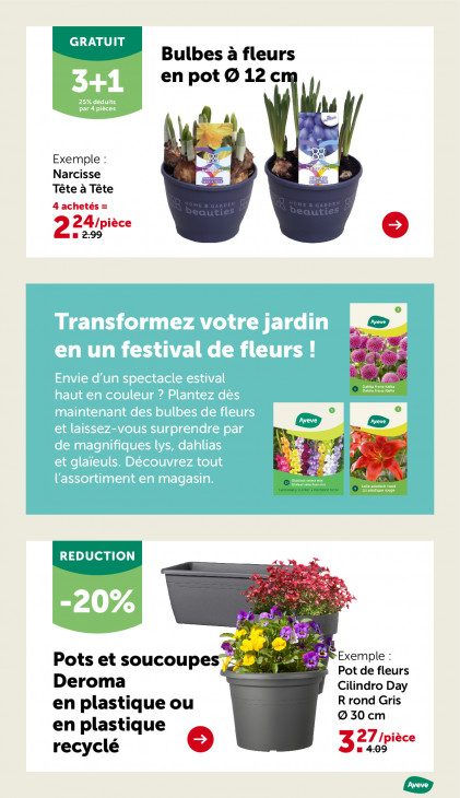 AVEVE Dépliant 25.02.2026