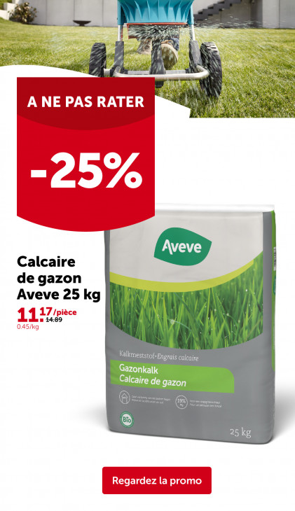 AVEVE Dépliant 25.02.2026