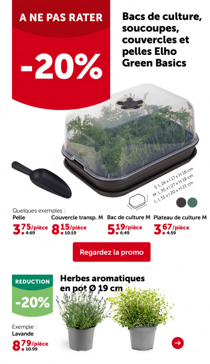 AVEVE Dépliant 25.02.2026