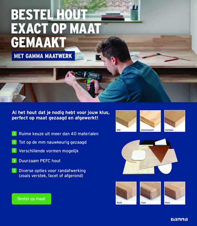 Gamma Folder 25.02.2026