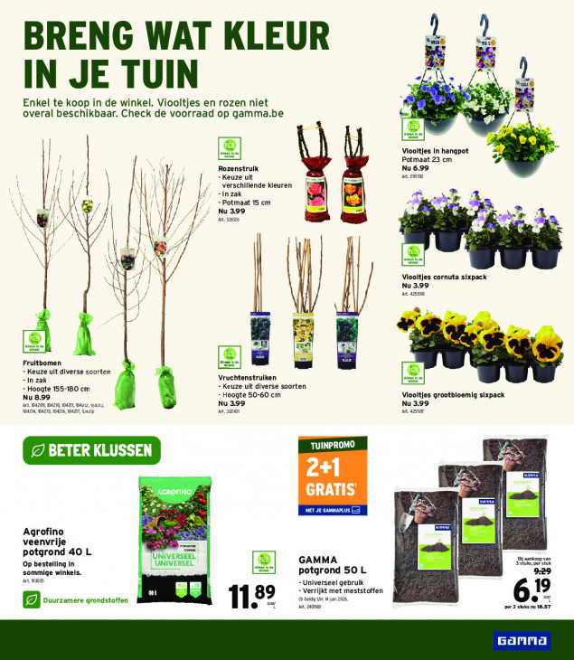 Gamma Folder 25.02.2026