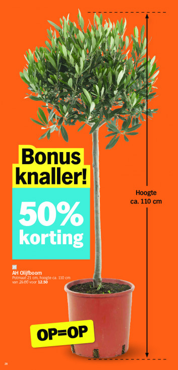 Albert Heijn Folder 02.03.2026