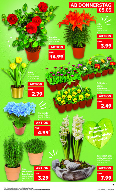 Kaufland Angebote ab 05.03.26 bis 11.03.26