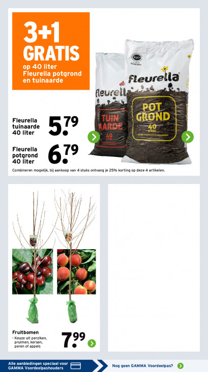 Gamma Folder 02.03.2026