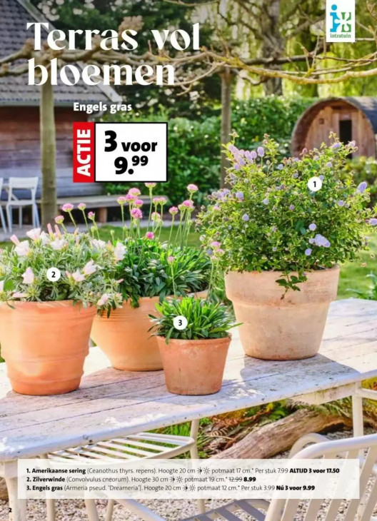 Intratuin Folder 02.03.2026