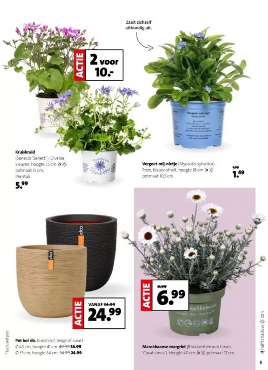 Intratuin Folder 02.03.2026