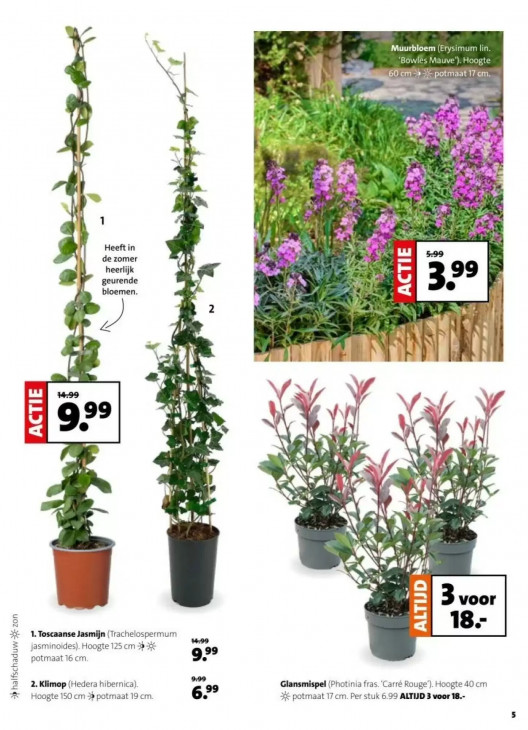 Intratuin Folder 02.03.2026