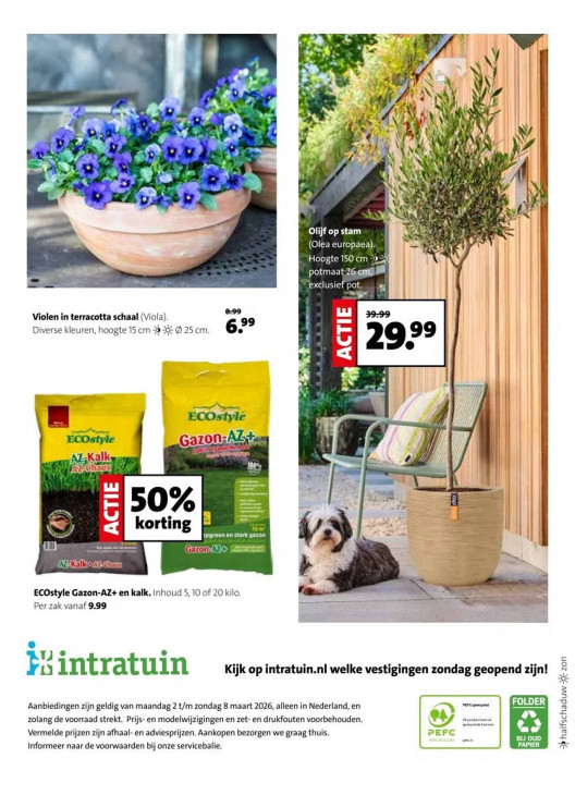 Intratuin Folder 02.03.2026