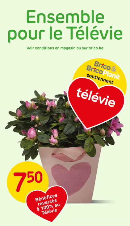 Brico Dépliant 04.03.2026