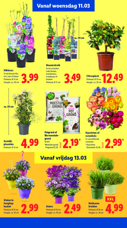 Lidl Folder 09.03.2026