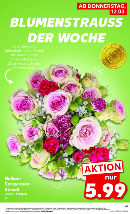 Kaufland - woche-11-ab-12-03-2026-bis-18-03-2026-seite-61-aonoo